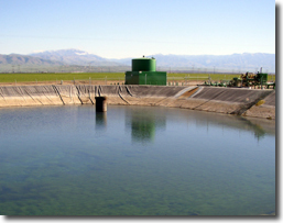 Irrigation Reservoir for Carrots