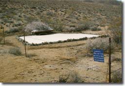 Rain Water Collection for Quail